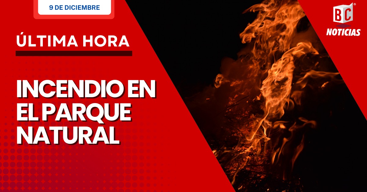 Se registra un incendio en el Parque Natural de los Nevados | Noticias de Buenaventura, Colombia y el Mundo